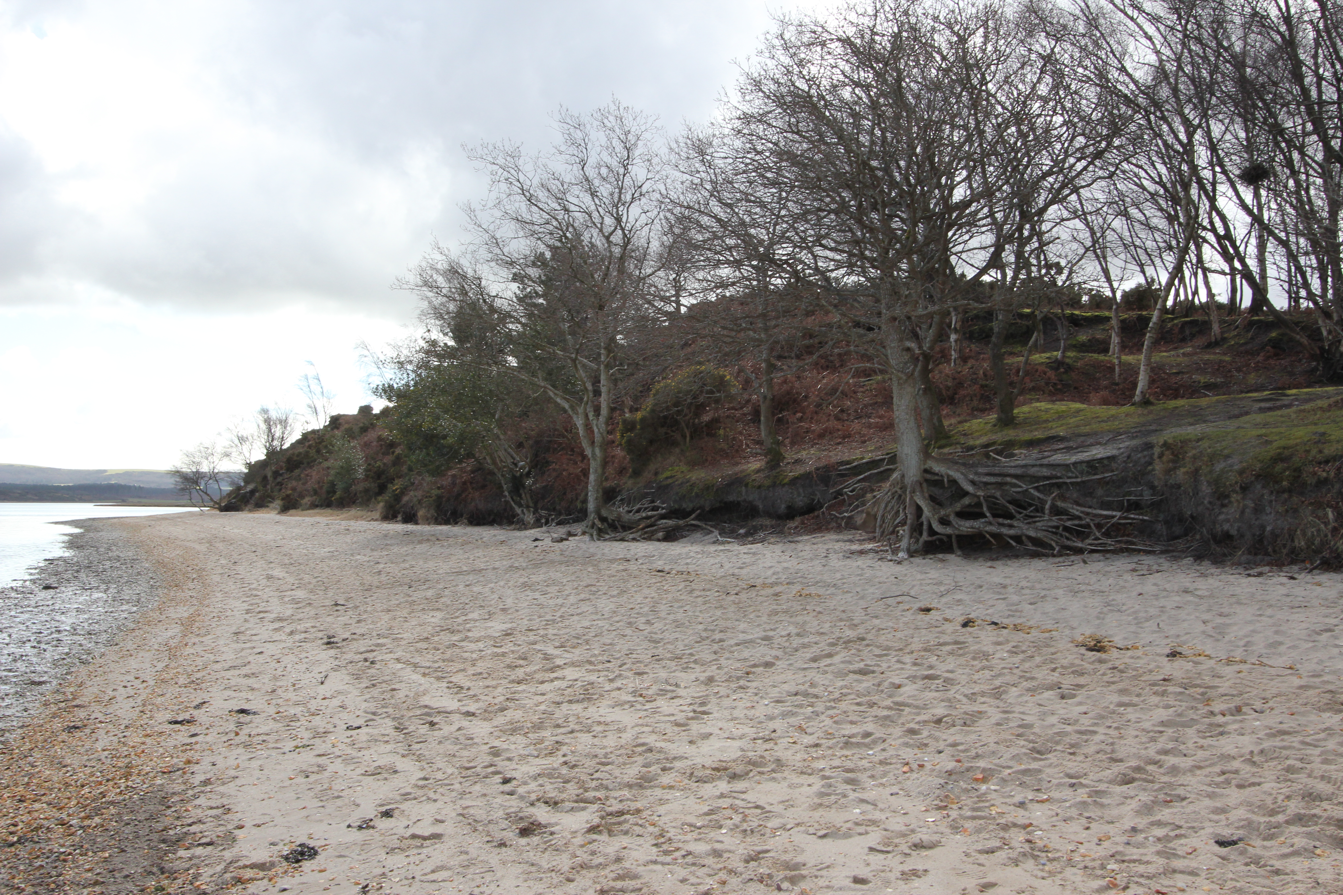 …where they are gradually undermined by erosion…